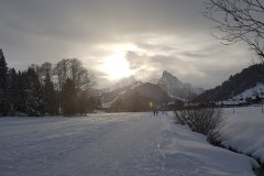 Schoenried